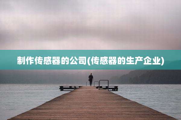 制作传感器的公司(传感器的生产企业)