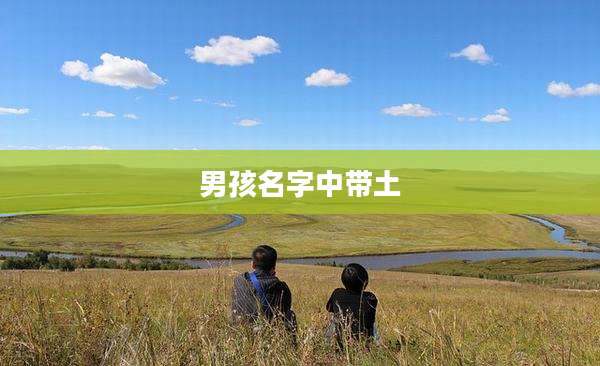 男孩名字中带土
