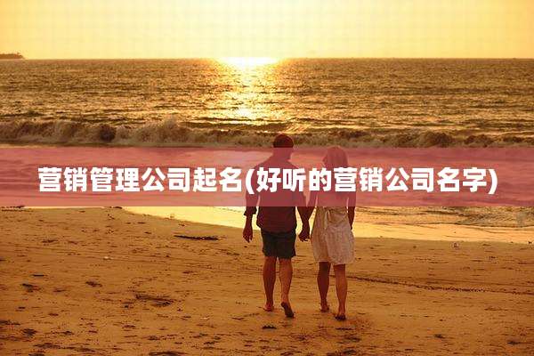 营销管理公司起名(好听的营销公司名字)