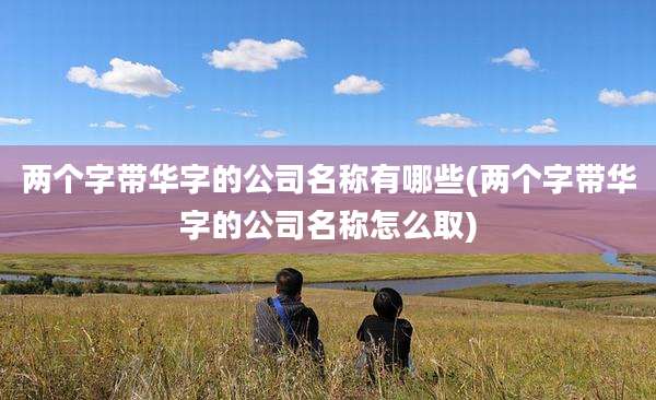 两个字带华字的公司名称有哪些(两个字带华字的公司名称怎么取)