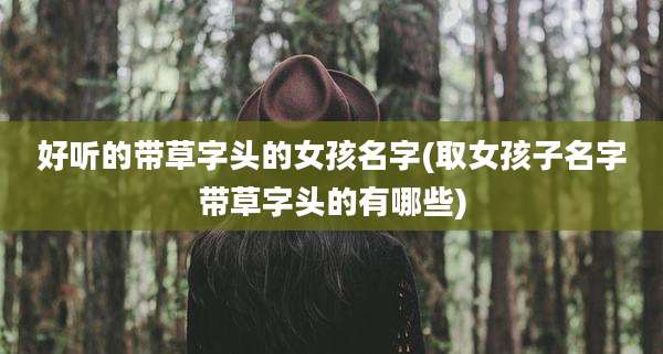 好听的带草字头的女孩名字(取女孩子名字带草字头的有哪些)