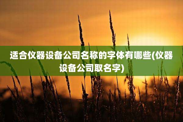 适合仪器设备公司名称的字体有哪些(仪器设备公司取名字)