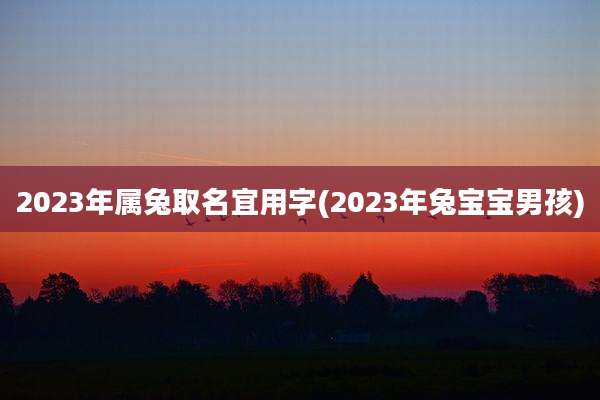 2023年属兔取名宜用字(2023年兔宝宝男孩)