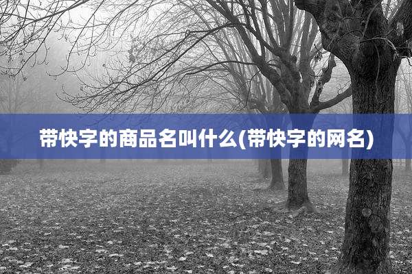 带快字的商品名叫什么(带快字的网名)