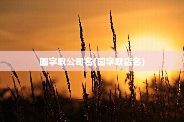 圆字取公司名(园字取店名)