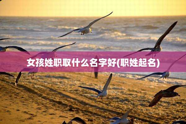 女孩姓职取什么名字好(职姓起名)