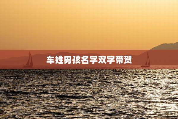 车姓男孩名字双字带贺