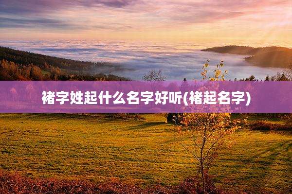 褚字姓起什么名字好听(褚起名字)