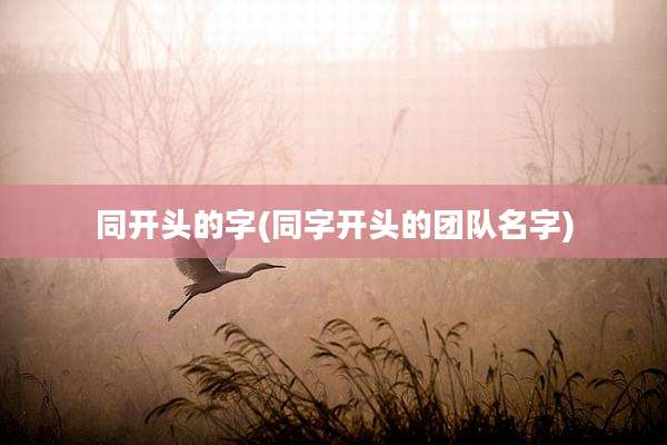 同开头的字(同字开头的团队名字)