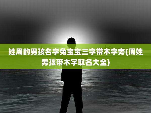 姓周的男孩名字兔宝宝三字带木字旁(周姓男孩带木字取名大全)