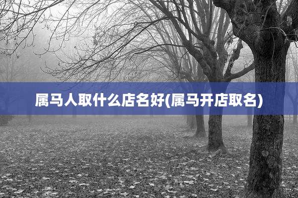 属马人取什么店名好(属马开店取名)