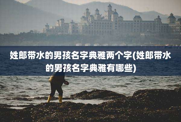 姓郎带水的男孩名字典雅两个字(姓郎带水的男孩名字典雅有哪些)
