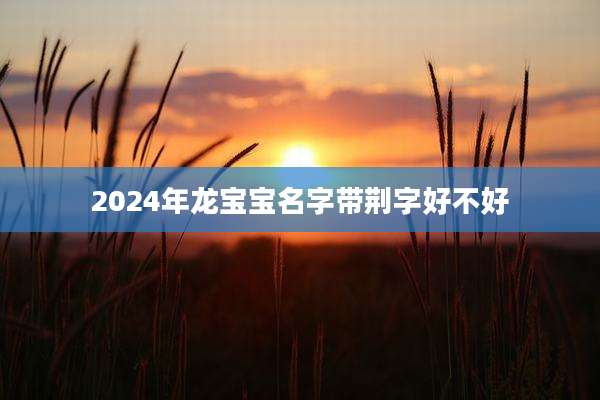 2024年龙宝宝名字带荆字好不好