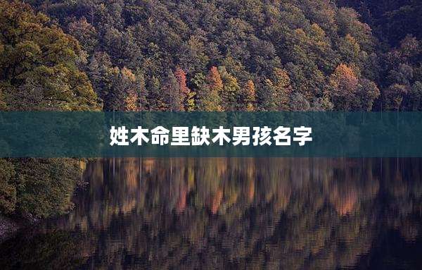 姓木命里缺木男孩名字