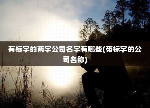 有标字的两字公司名字有哪些(带标字的公司名称)