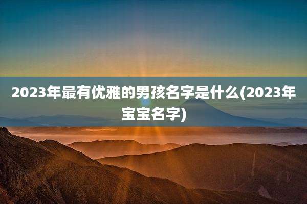 2023年最有优雅的男孩名字是什么(2023年宝宝名字)