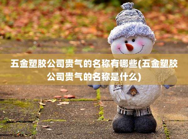 五金塑胶公司贵气的名称有哪些(五金塑胶公司贵气的名称是什么)