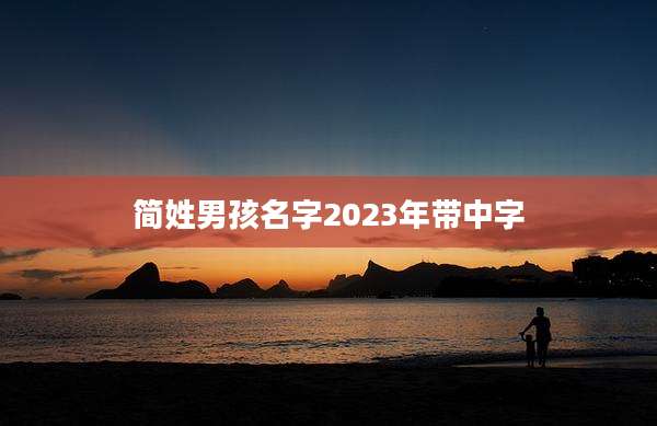 简姓男孩名字2023年带中字