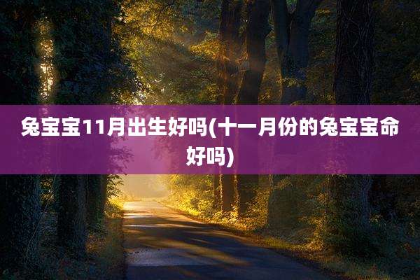 兔宝宝11月出生好吗(十一月份的兔宝宝命好吗)
