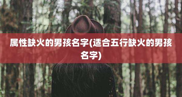 属性缺火的男孩名字(适合五行缺火的男孩名字)