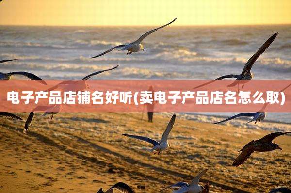 电子产品店铺名好听(卖电子产品店名怎么取)