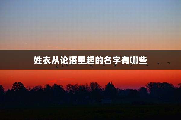 姓衣从论语里起的名字有哪些