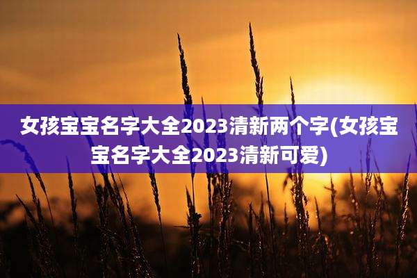 女孩宝宝名字大全2023清新两个字(女孩宝宝名字大全2023清新可爱)