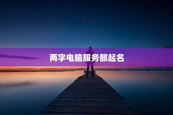 两字电脑服务部起名