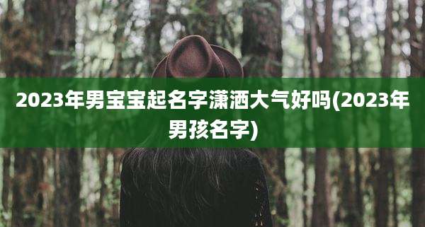2023年男宝宝起名字潇洒大气好吗(2023年男孩名字)