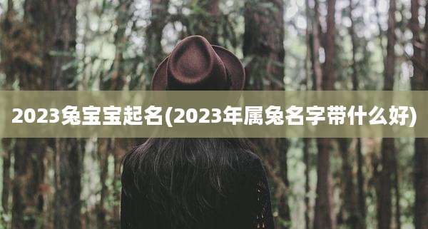 2023兔宝宝起名(2023年属兔名字带什么好)