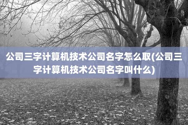 公司三字计算机技术公司名字怎么取(公司三字计算机技术公司名字叫什么)