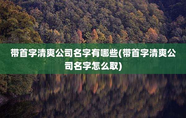 带首字清爽公司名字有哪些(带首字清爽公司名字怎么取)