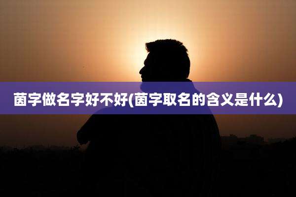 茵字做名字好不好(茵字取名的含义是什么)