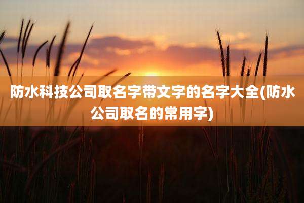 防水科技公司取名字带文字的名字大全(防水公司取名的常用字)