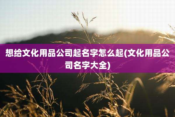 想给文化用品公司起名字怎么起(文化用品公司名字大全)