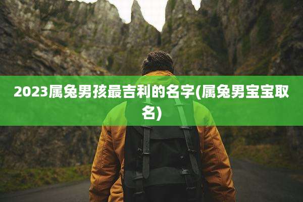2023属兔男孩最吉利的名字(属兔男宝宝取名)