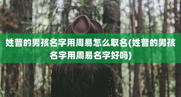 姓普的男孩名字用周易怎么取名(姓普的男孩名字用周易名字好吗)