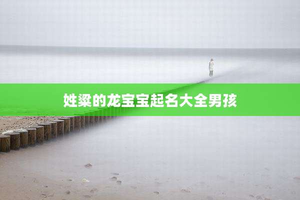 姓粱的龙宝宝起名大全男孩