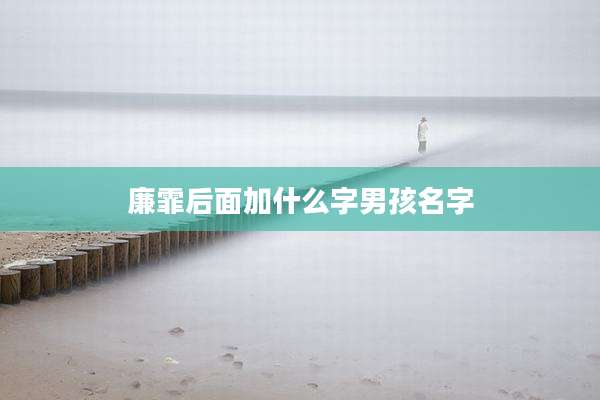 廉霏后面加什么字男孩名字