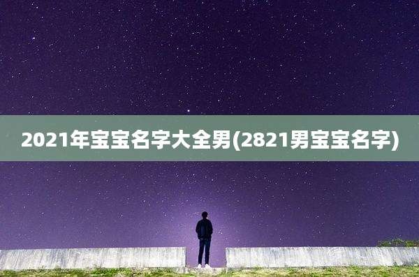 2021年宝宝名字大全男(2821男宝宝名字)