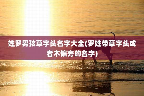 姓罗男孩草字头名字大全(罗姓带草字头或者木偏旁的名字)
