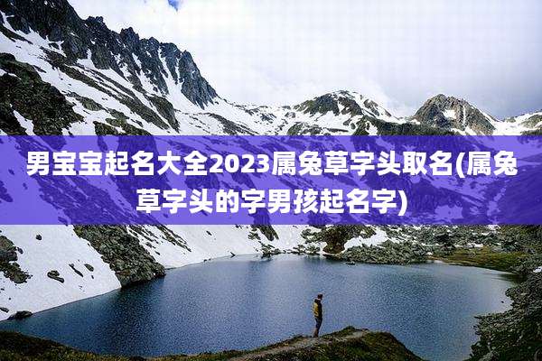 男宝宝起名大全2023属兔草字头取名(属兔草字头的字男孩起名字)