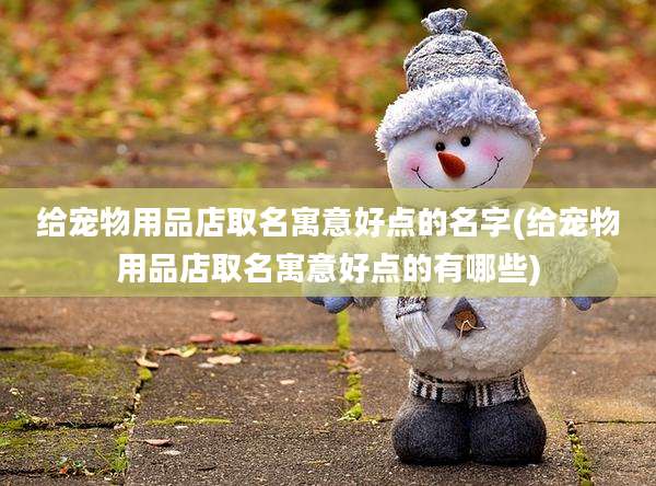 给宠物用品店取名寓意好点的名字(给宠物用品店取名寓意好点的有哪些)
