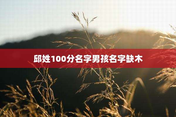 邱姓100分名字男孩名字缺木