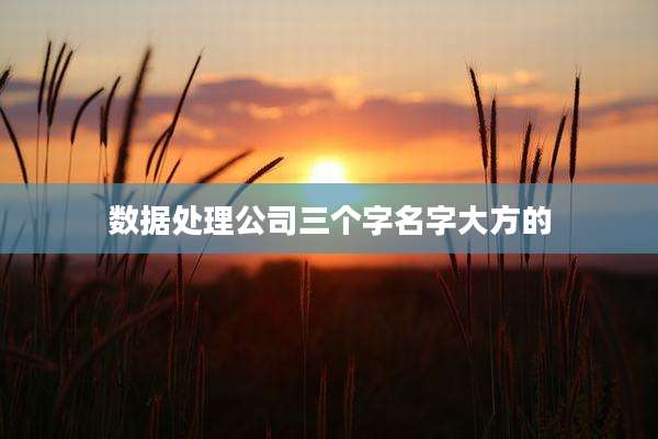 数据处理公司三个字名字大方的