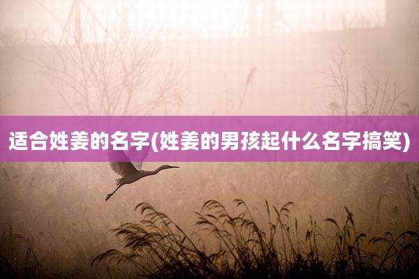 适合姓姜的名字(姓姜的男孩起什么名字搞笑)