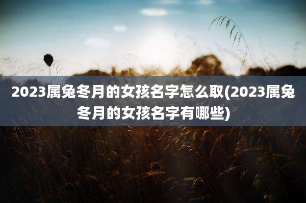 2023属兔冬月的女孩名字怎么取(2023属兔冬月的女孩名字有哪些)