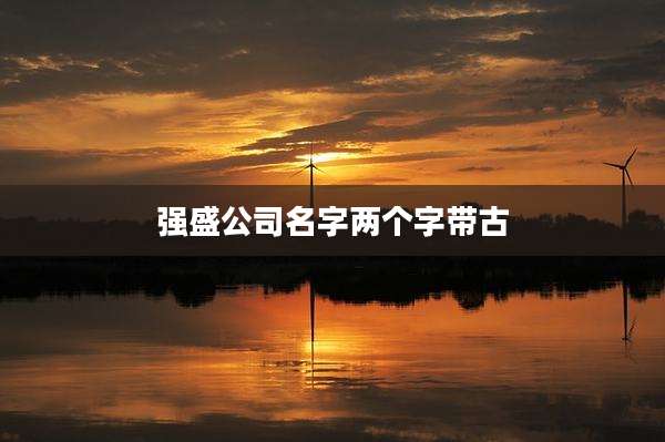强盛公司名字两个字带古
