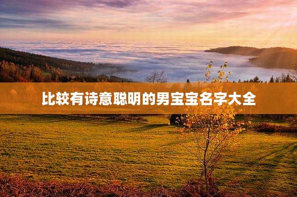 比较有诗意聪明的男宝宝名字大全