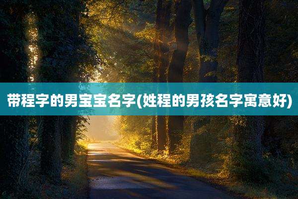 带程字的男宝宝名字(姓程的男孩名字寓意好)